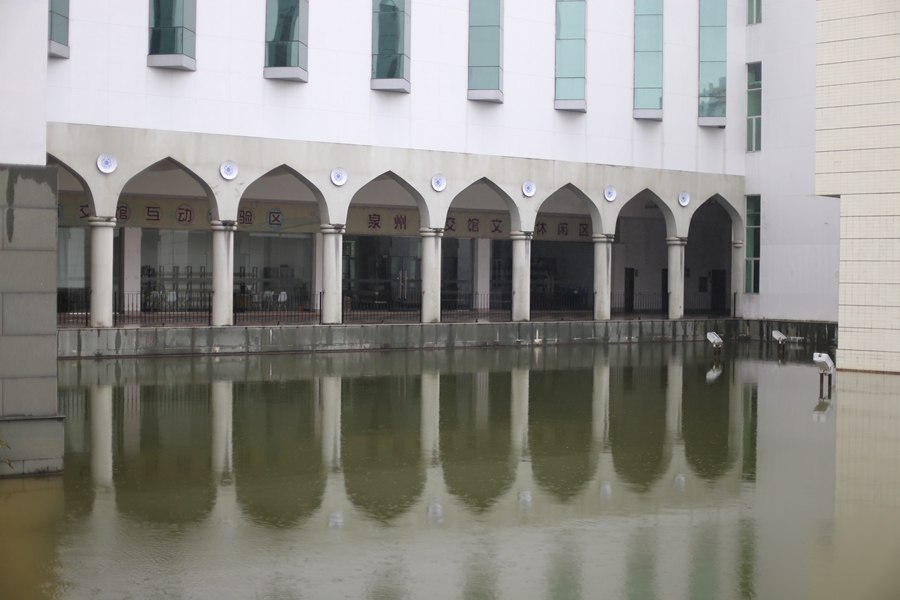 IMG_0225.jpg IMG_0225.jpg